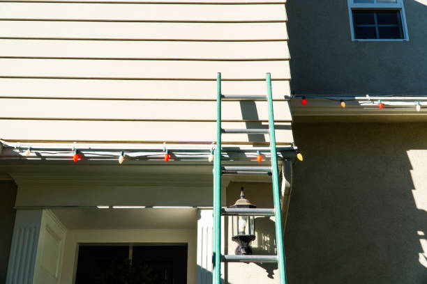 Best Insulated Siding Installation  in Prairie View, TX